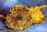 Two Cut Sunflowers